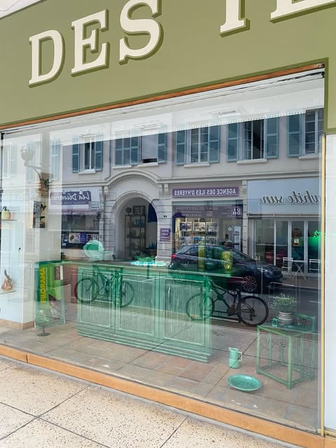 La vitrine de la boutique habillée de meubles et d’objets verts