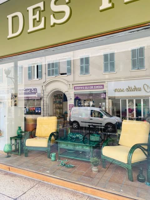 La vitrine avec deux fauteuils en métal vert aux coussins jaunes et une table basse